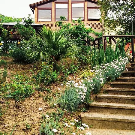 La Collina Della Quiete Aia *